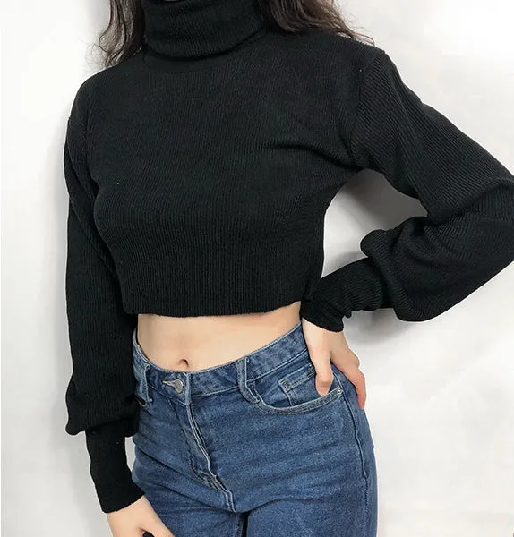 FashionKova - Chunky Knit Cropped Sweater