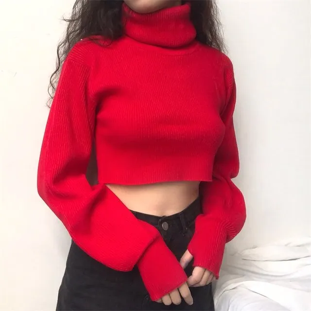 FashionKova - Chunky Knit Cropped Sweater