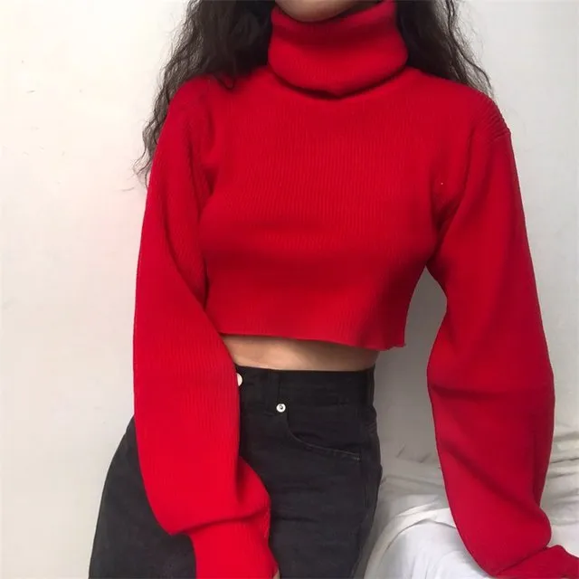 FashionKova - Chunky Knit Cropped Sweater