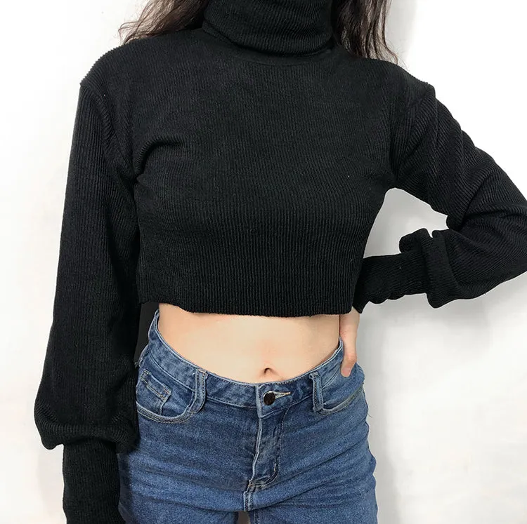 FashionKova - Chunky Knit Cropped Sweater